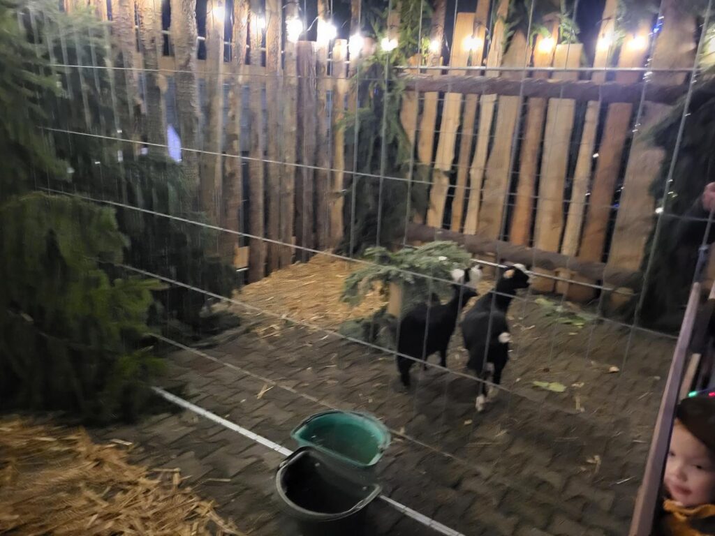 Jarmark świąteczny w Pietrowicach Wielkich - Vlog Steina