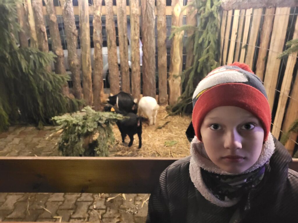 Jarmark świąteczny w Pietrowicach Wielkich - Vlog Steina