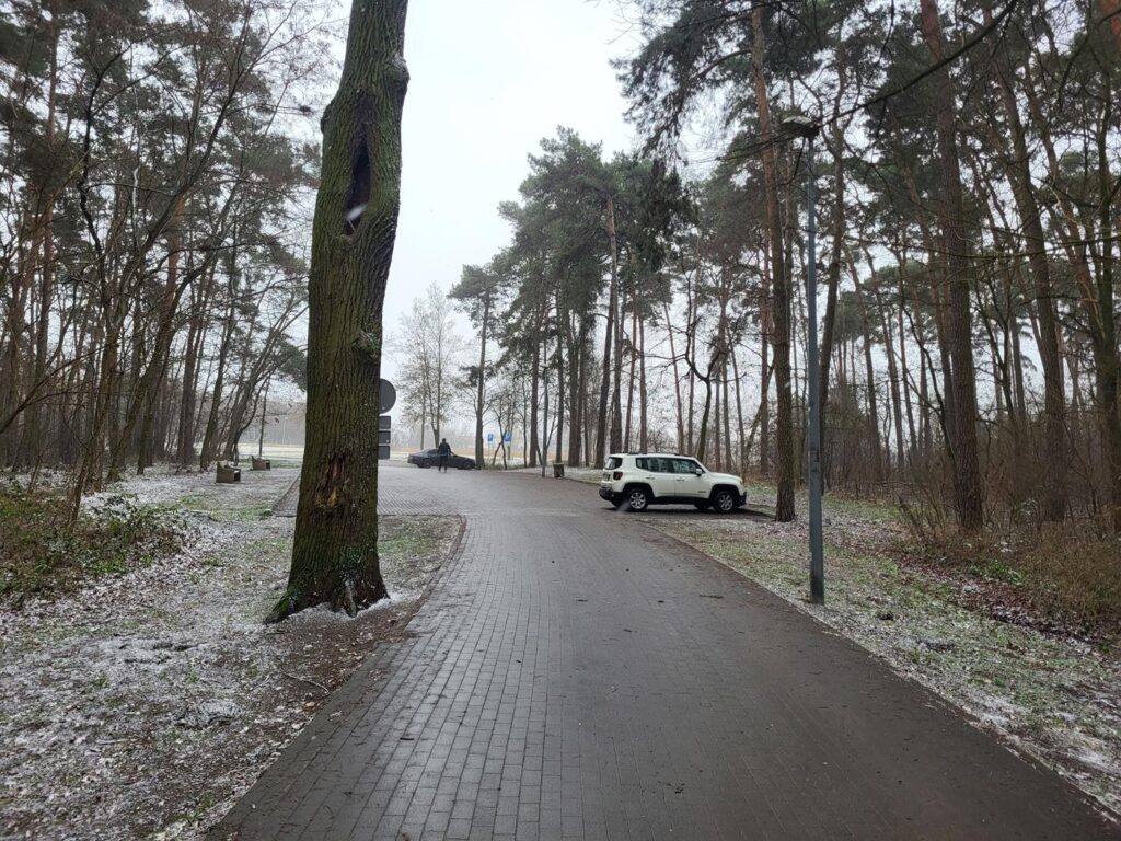 Park przygód w ostrowie wielkopolskim - park linowy / vlog steina