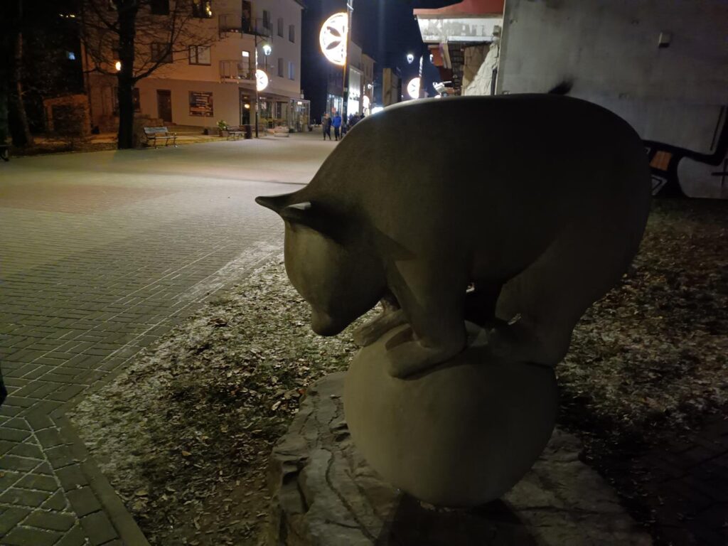 Szlak niedźwiadków Wisła - Vlog steina