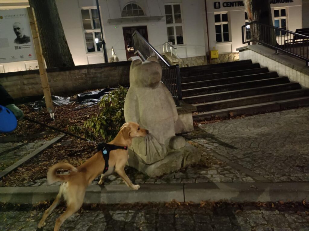 Szlak niedźwiadków Wisła - Vlog steina