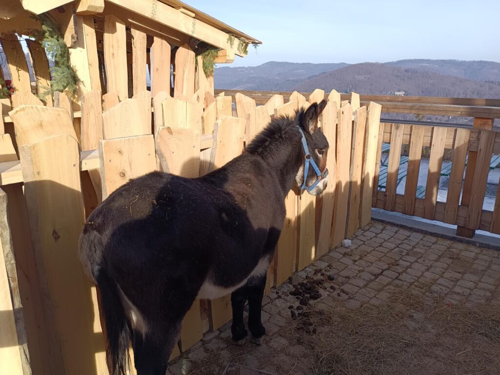 Wisła Skolnity - stok narciarski w wiśle - Vlog Steina