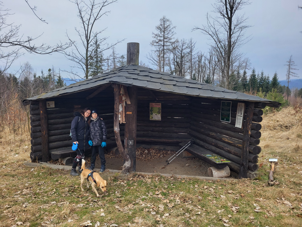 Szlak krecika na krecikową studzienkę - vlog steina czechy