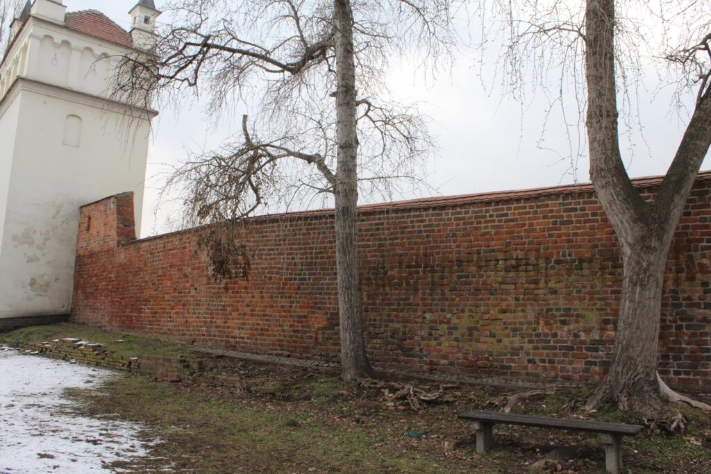 Rynek i kolumna maryjna w Raciborzu - Baszta Racibórz / Vlog Steina