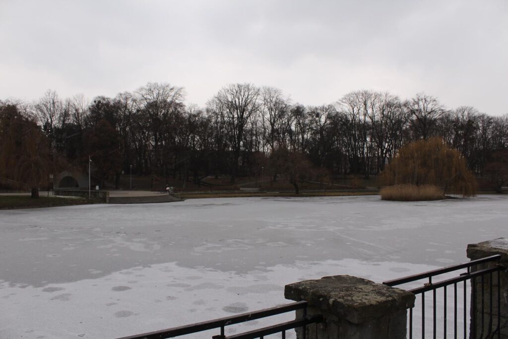 Park Roth Racibórz - Vlog steina