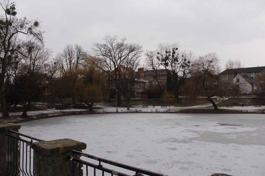 Park Roth Racibórz - Vlog steina