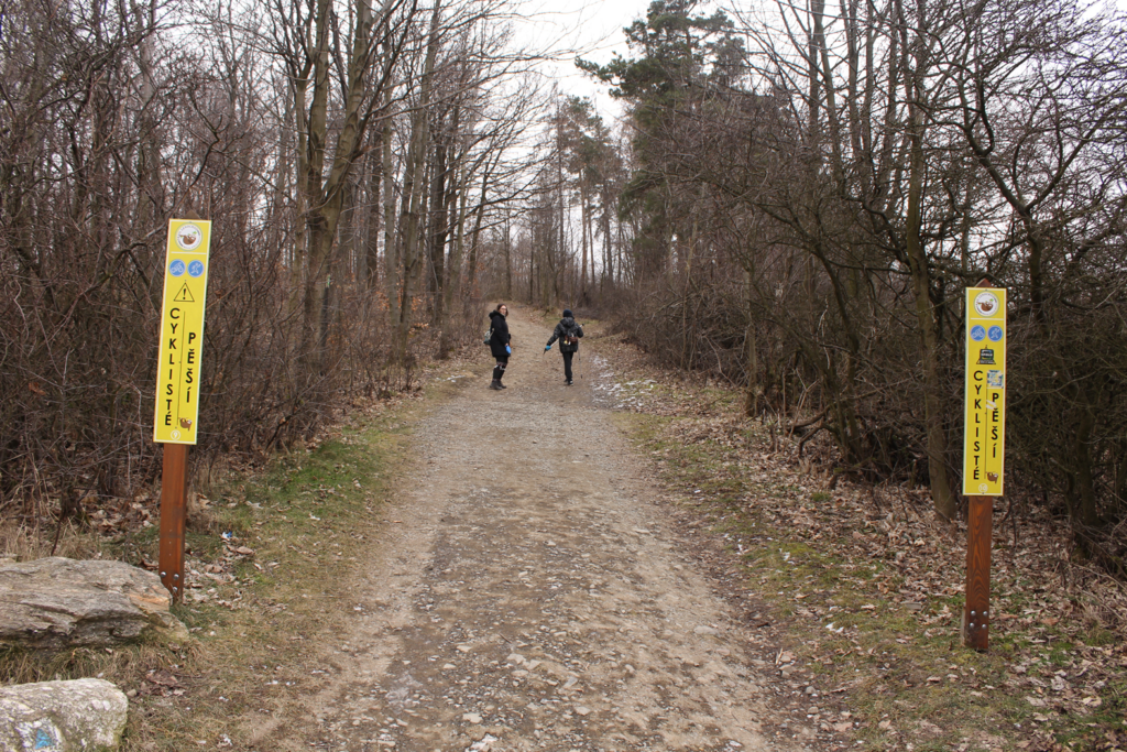 Szlak na wieże widokową Graniczny Wierch w czechach / vlog steina