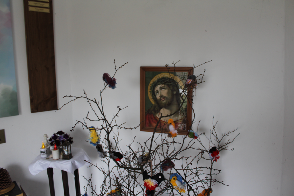 parking na krecikową studzienkę - szlak górski w czechach / vlog steina