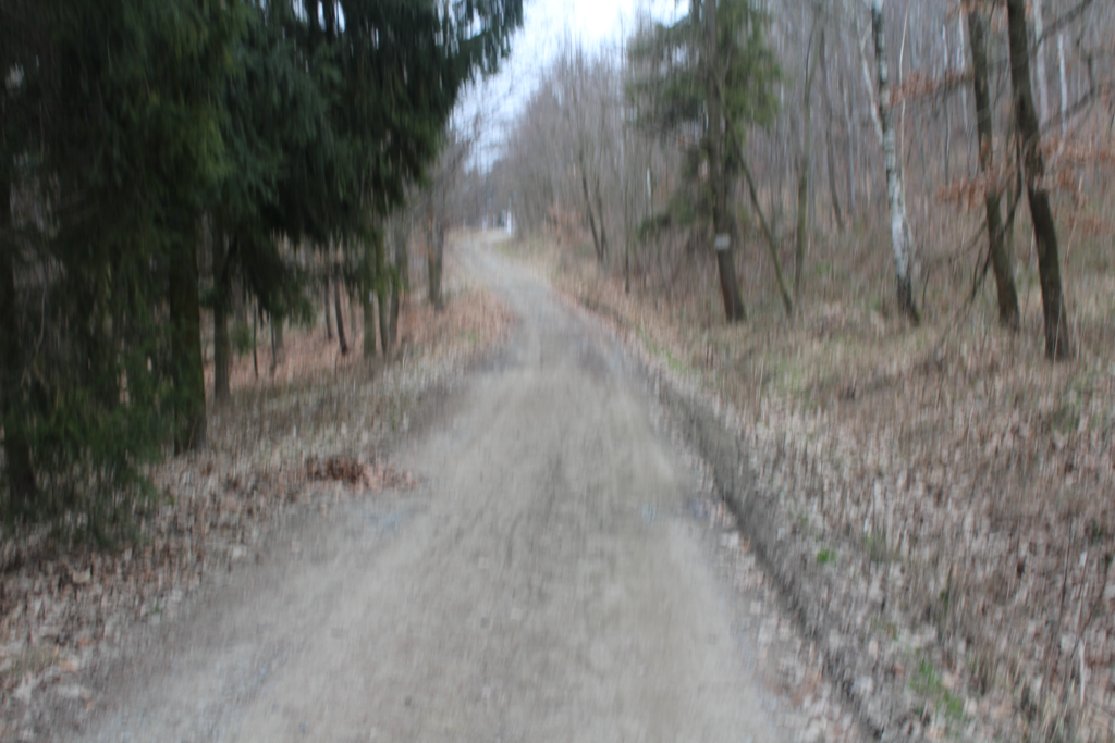 szlak krecika na krecikową studzienkę w Czechach - Vlog Steina