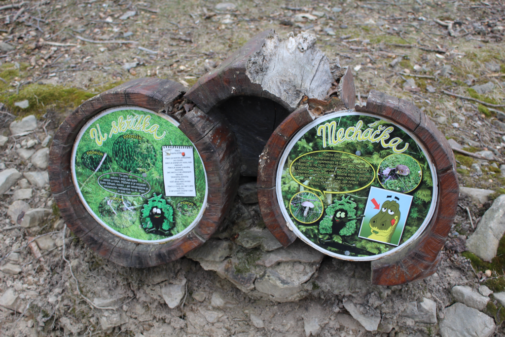 Szlak krecika na krecikową studzienkę - vlog steina czechy