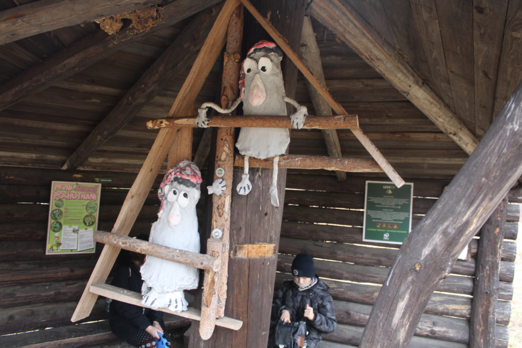 Szlak krecika na krecikową studzienkę - vlog steina czechy