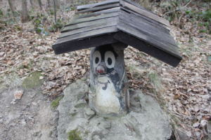 Studzienka krecika - szlak górski w czechach - vlog steina