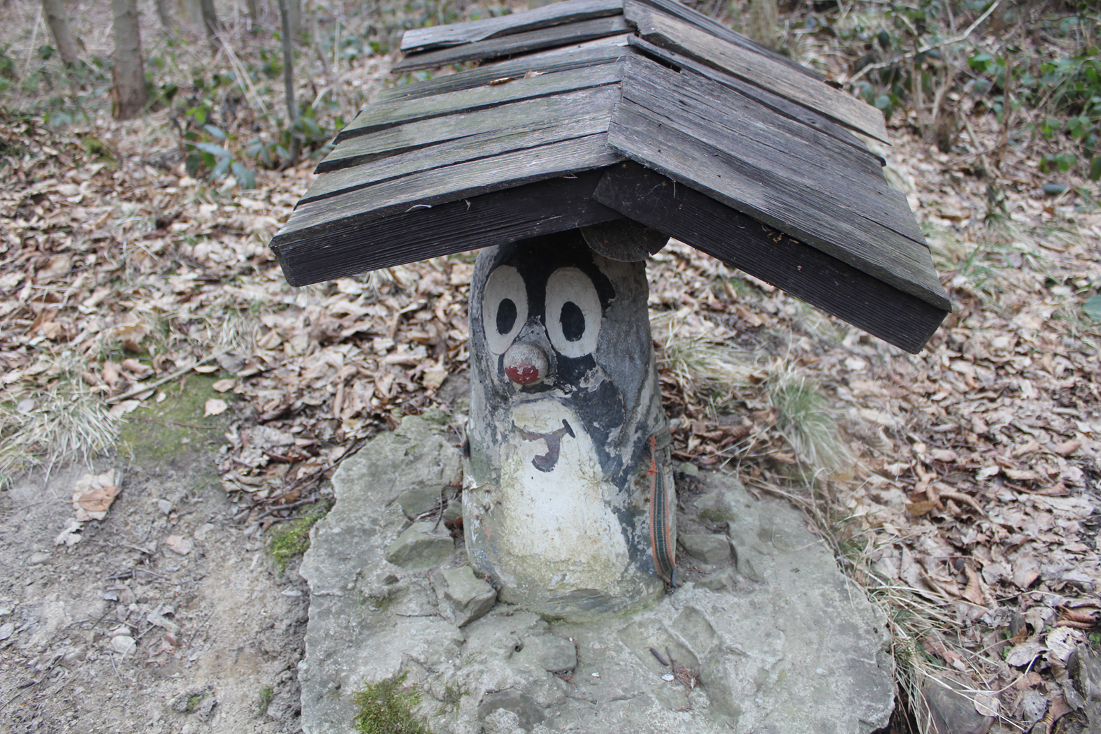 Studzienka krecika - szlak górski w czechach - vlog steina