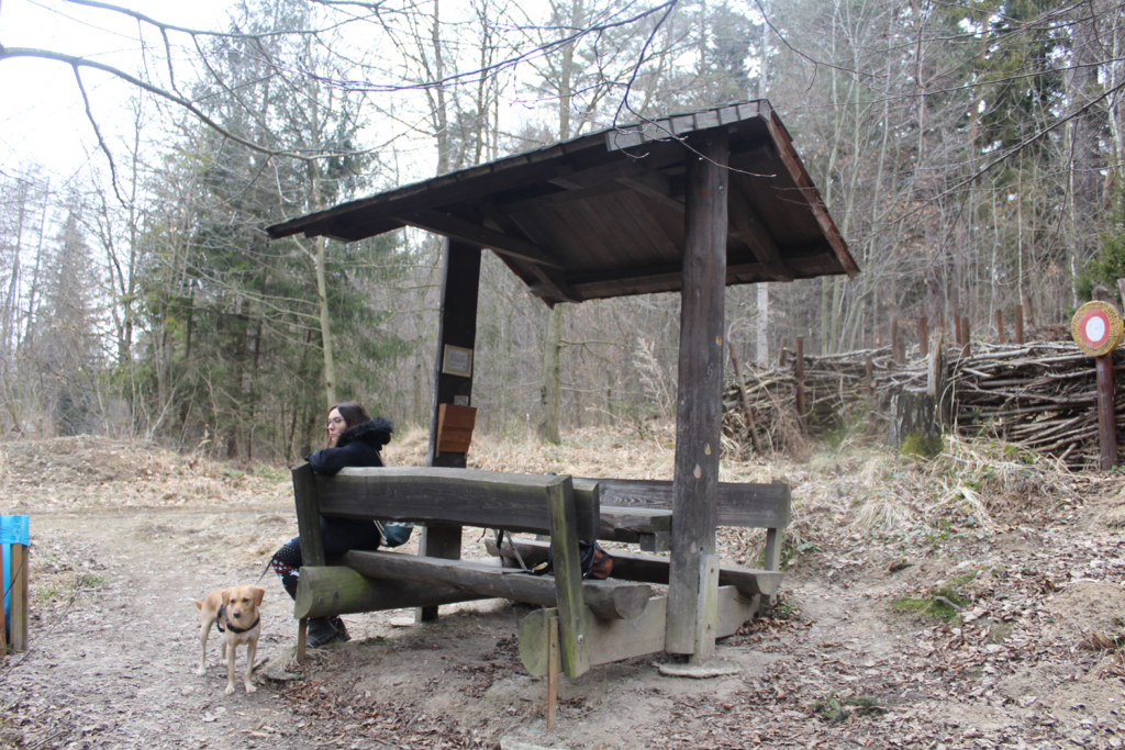 Studzienka krecika - szlak górski w czechach - vlog steina