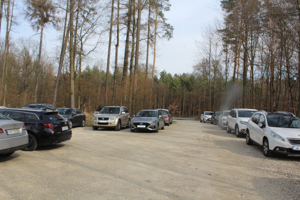 Zagroda żubrów Racibórz - Vlog Steina