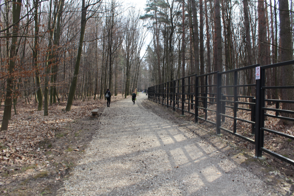 Zagroda żubrów Racibórz - Vlog Steina