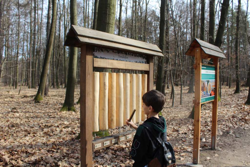 Zagroda żubrów Racibórz - Vlog Steina