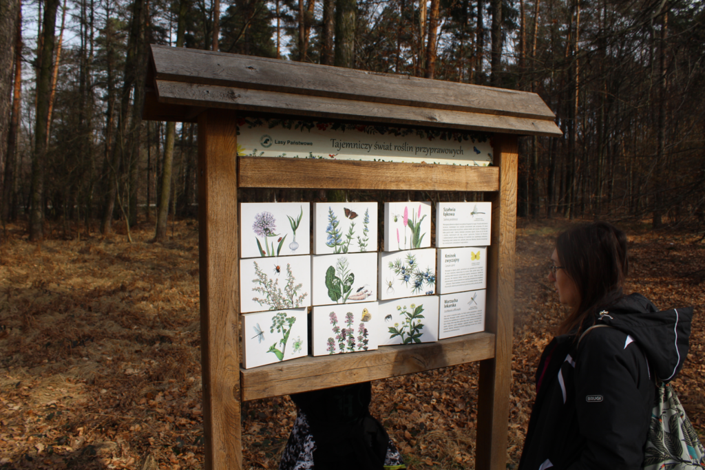 Zagroda żubrów Racibórz - Vlog Steina