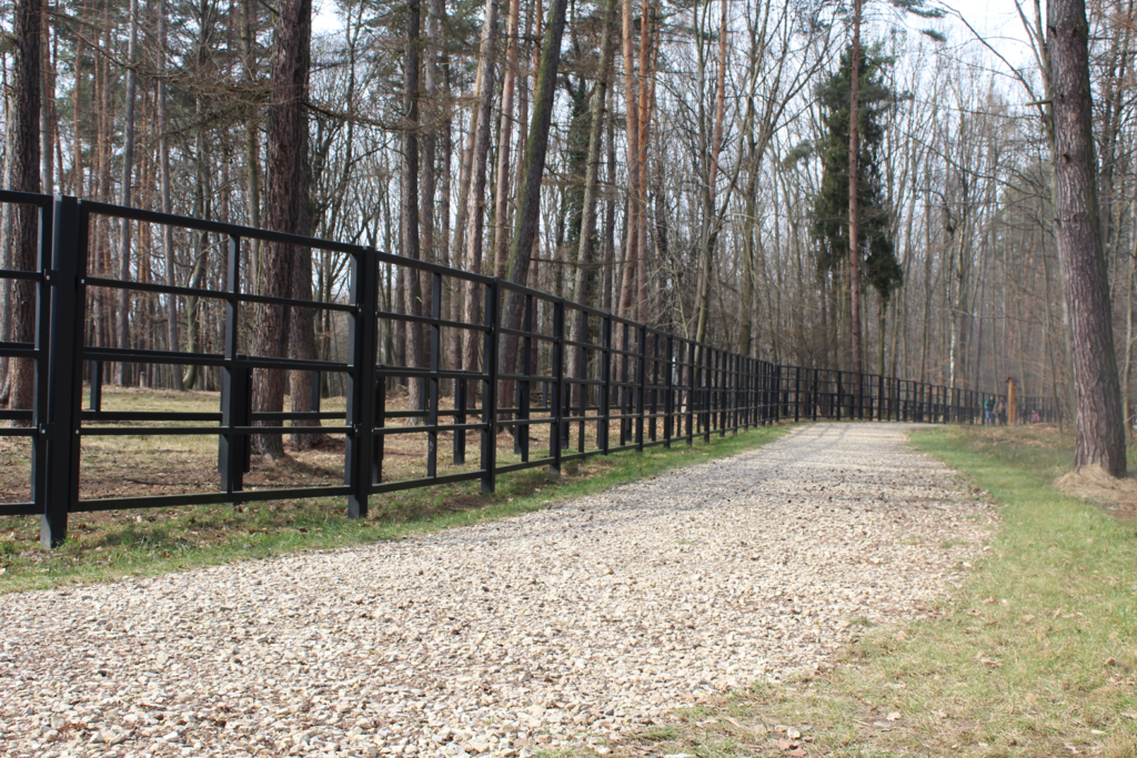 Zagroda żubrów Racibórz - Vlog Steina