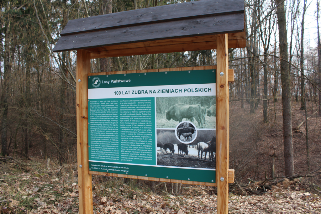 Zagroda żubrów Racibórz - Vlog Steina