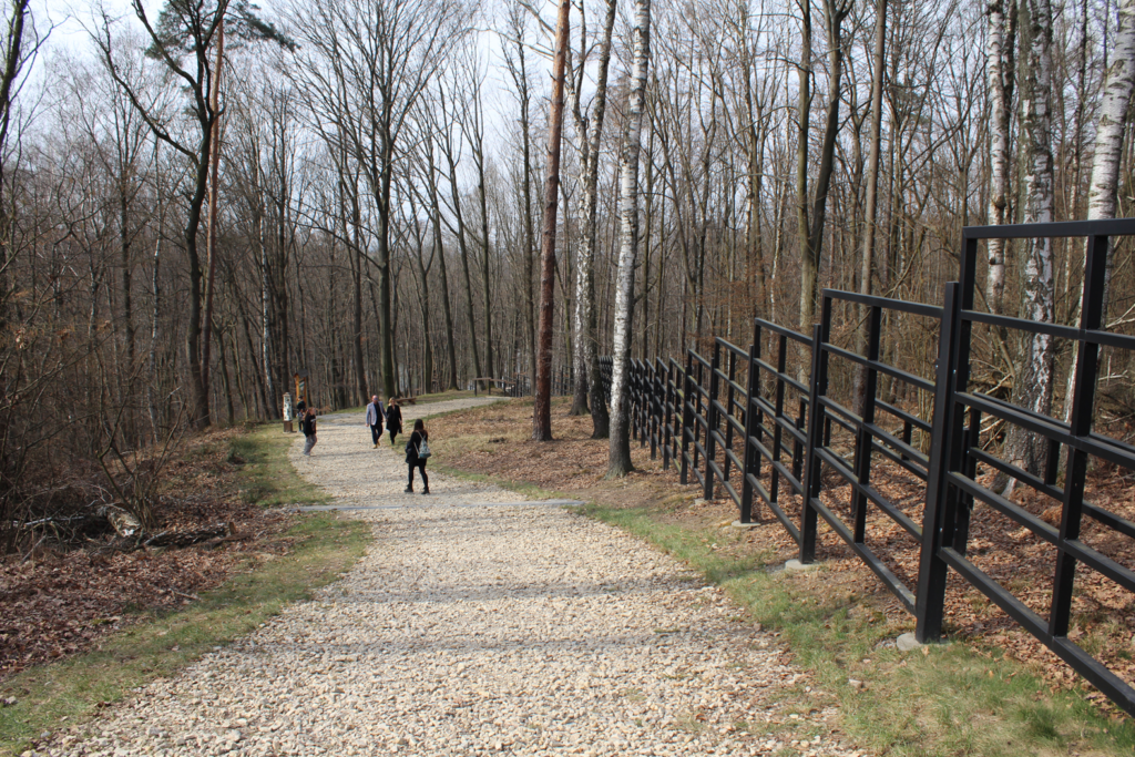 Zagroda żubrów Racibórz - Vlog Steina