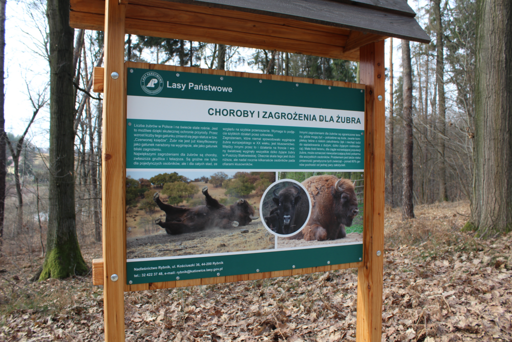 Zagroda żubrów Racibórz - Vlog Steina