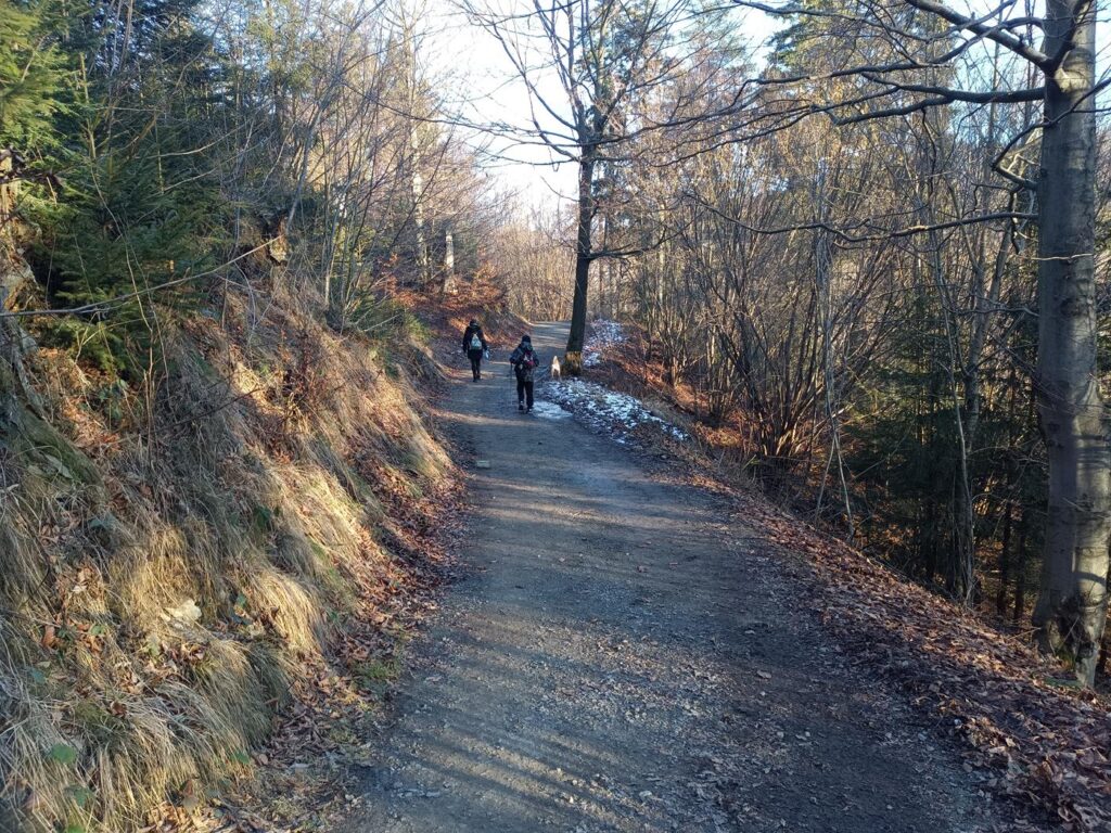 Taras widokowy na zaporę w wiśle - Vlog Steina