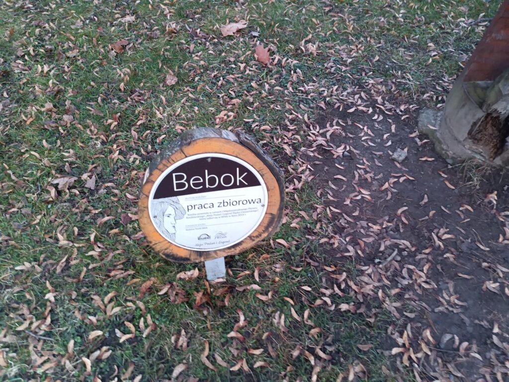 drewniane rzeźby postaci z bajek w Wiśle - atrakcje wisły / Vlog Steina