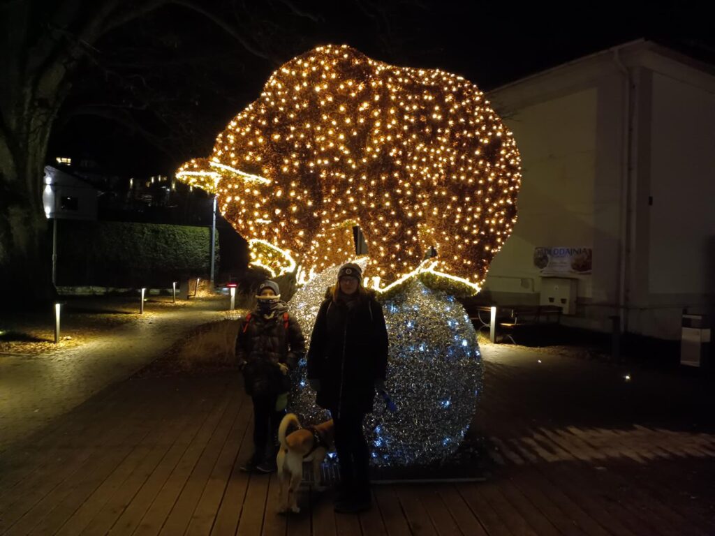 Niedźwiadki w Wiśle - Vlog Steina