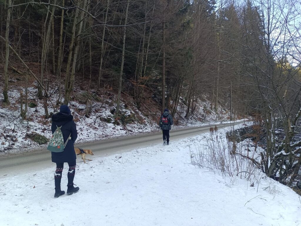 Szlak na kaskady rodłem w Wiśle - wodospady / Vlog Steina