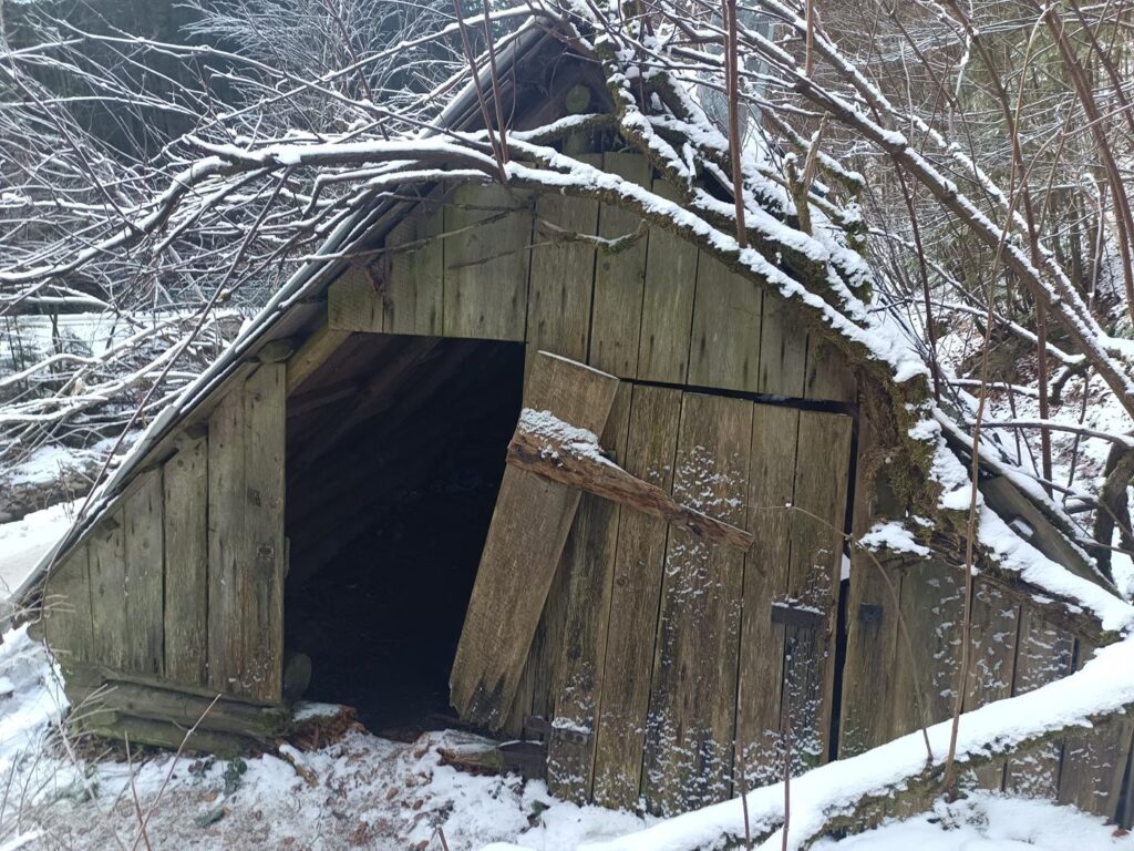 Kaskady rodłem - dolina małej Wisłeki w Wiśle - Vlog Steina