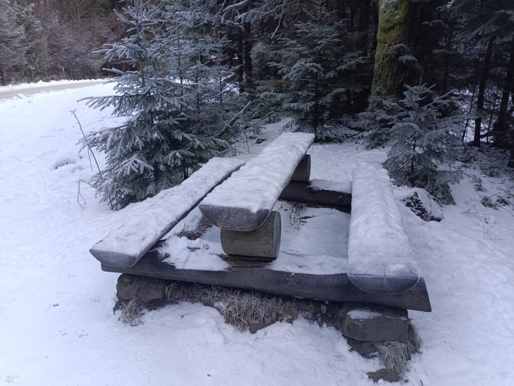 Szlak na kaskady rodłem w Wiśle - wodospady / Vlog Steina