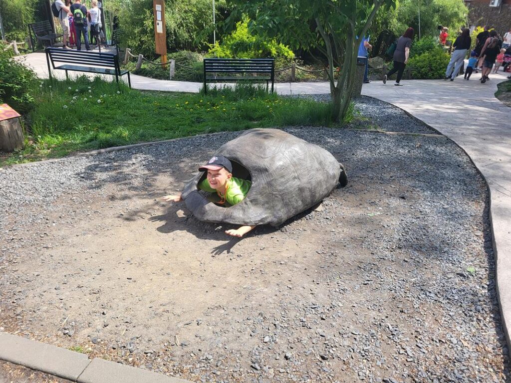 zoo w ostrawie - Vlog Steina