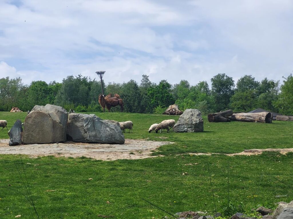 zoo w ostrawie - Vlog Steina