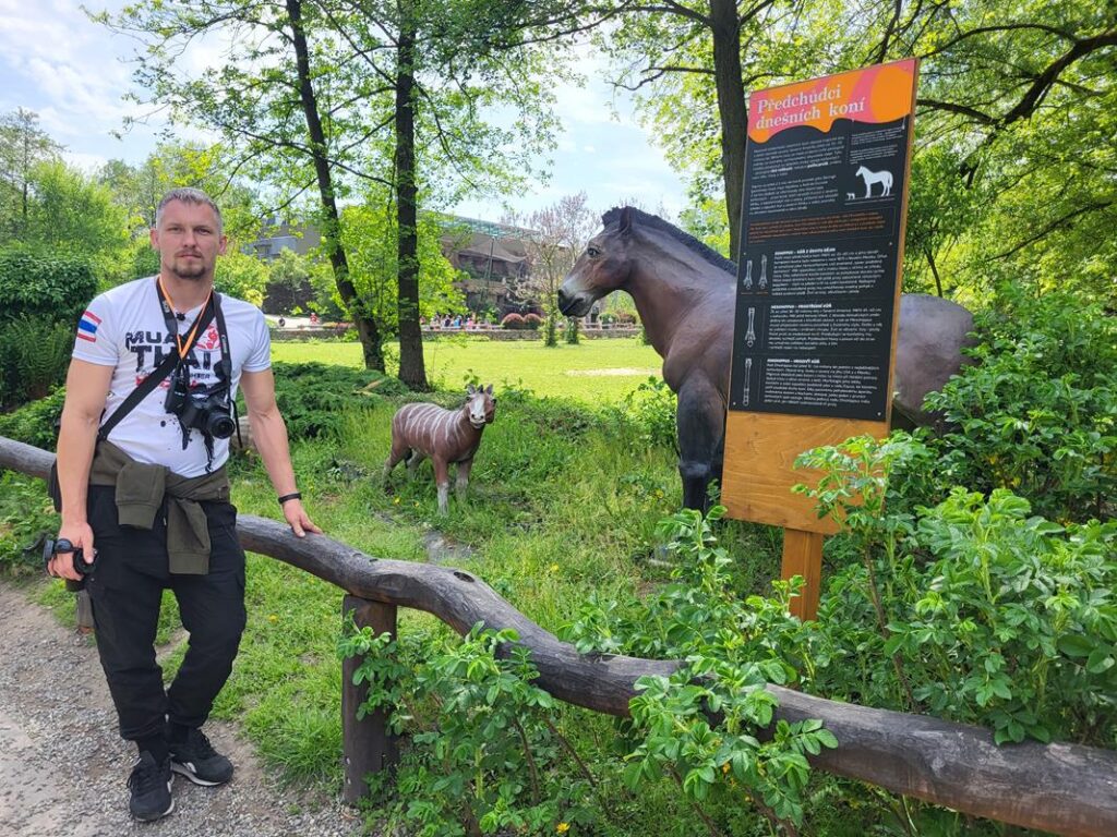 zoo w ostrawie - Vlog Steina