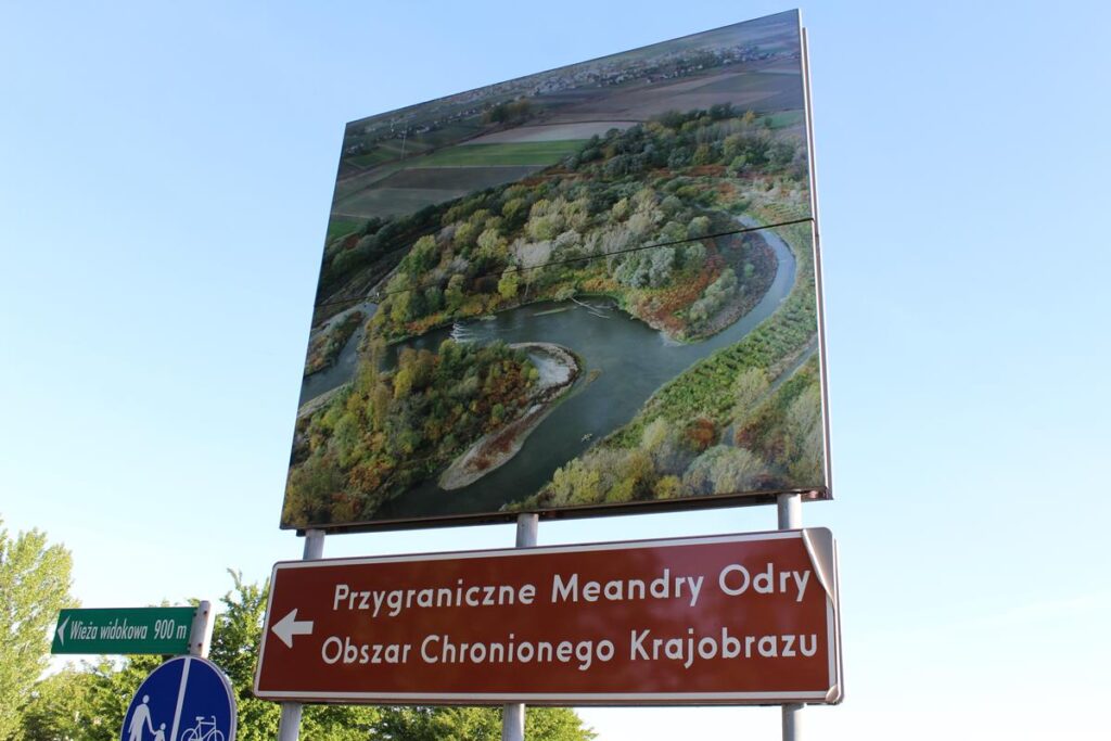 Graniczne Meandry Odry - wieża widokowa - vlog steina