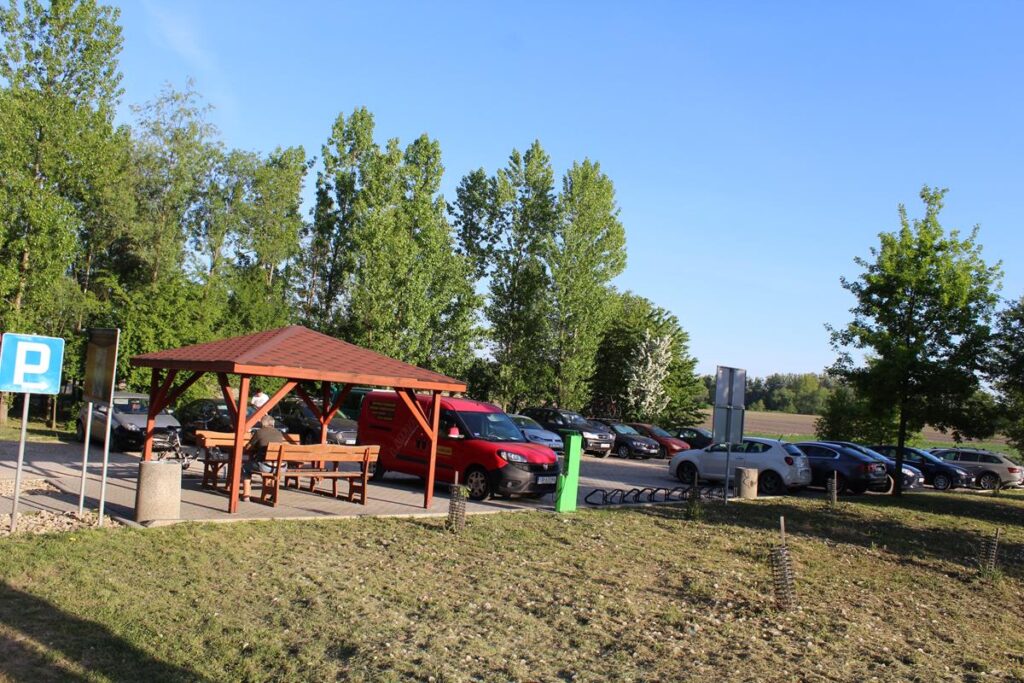 Graniczne Meandry Odry - wieża widokowa - vlog steina