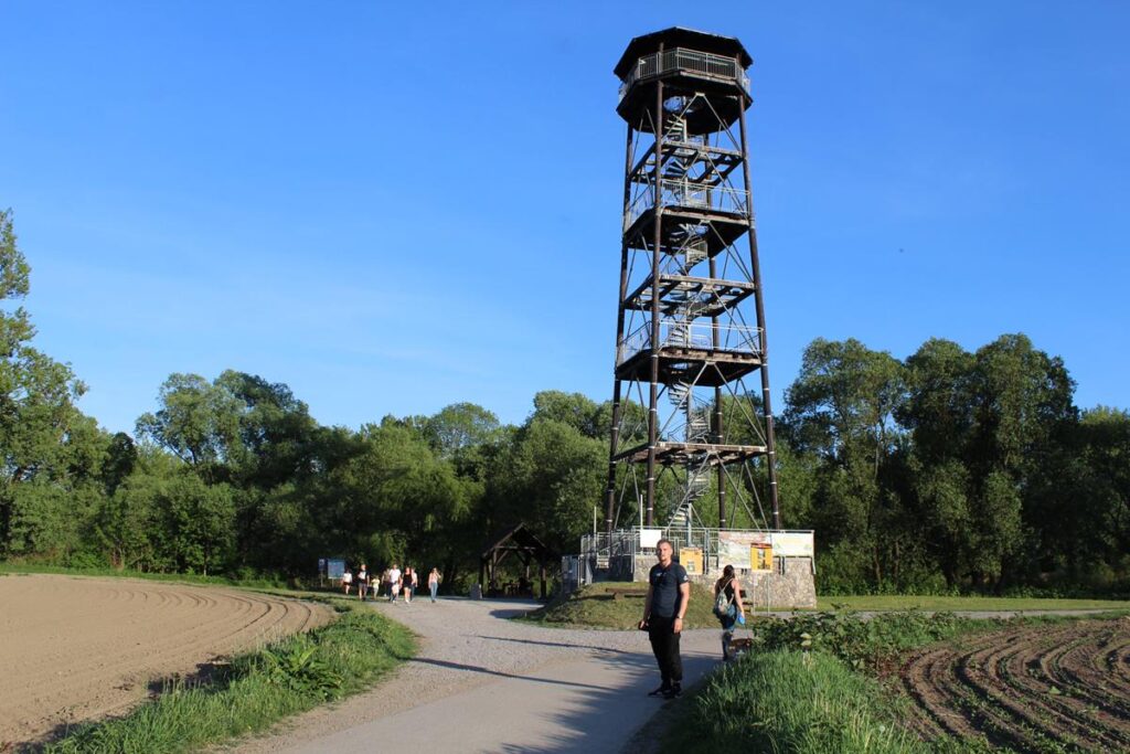 Graniczne Meandry Odry - wieża widokowa - vlog steina