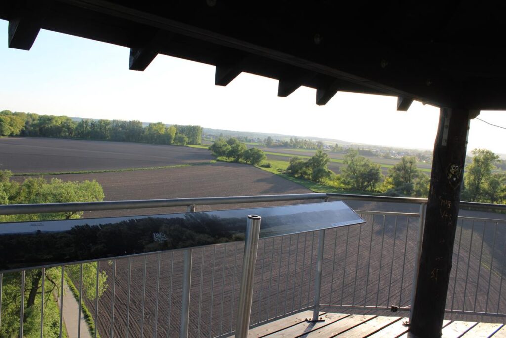 Graniczne Meandry Odry - wieża widokowa - vlog steina