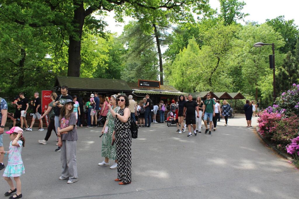 zoo w ostrawie - Vlog Steina