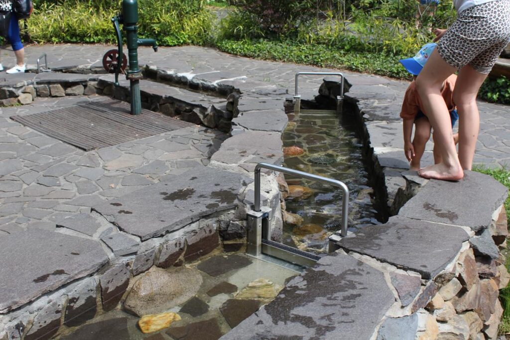 zoo w ostrawie - Vlog Steina