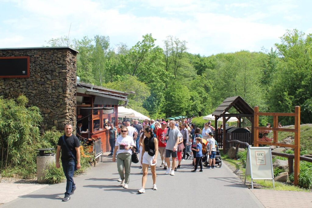 zoo w ostrawie - Vlog Steina