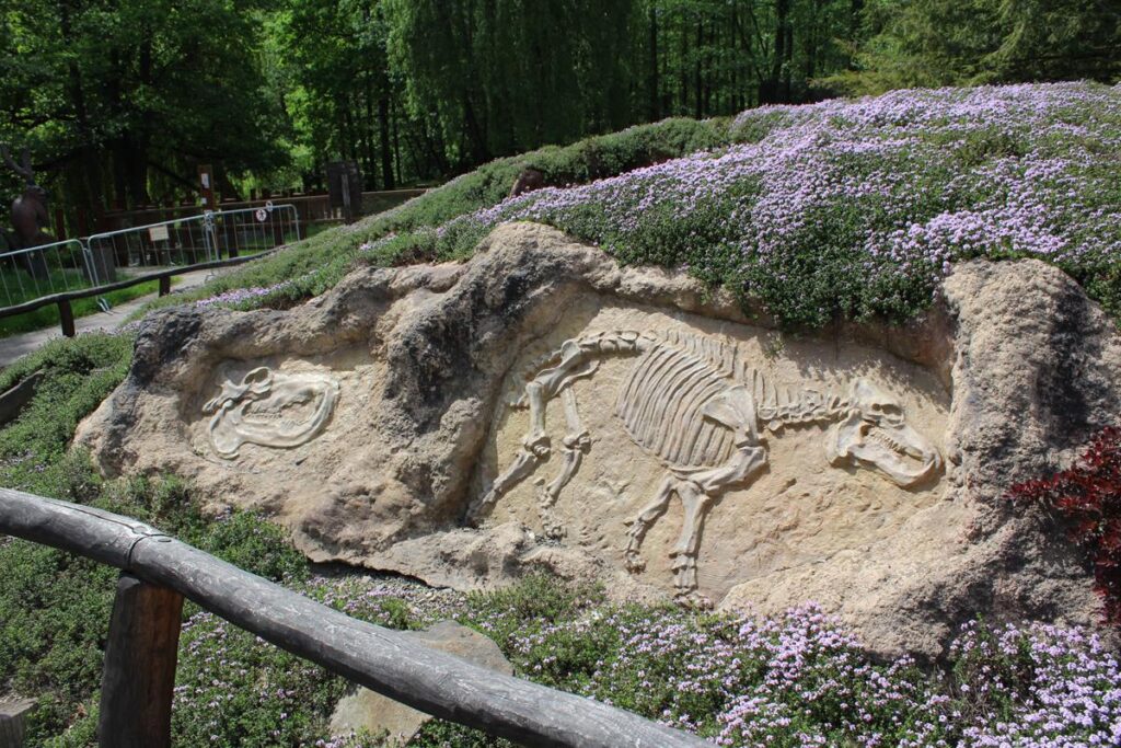 zoo w ostrawie - Vlog Steina