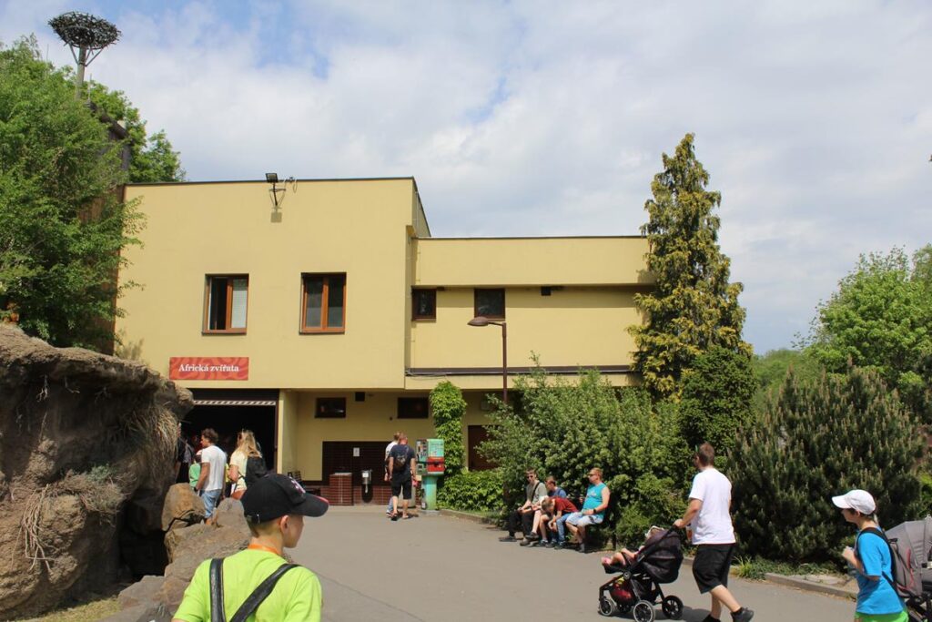 zoo w ostrawie - Vlog Steina