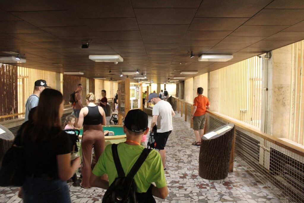 zoo w ostrawie - Vlog Steina