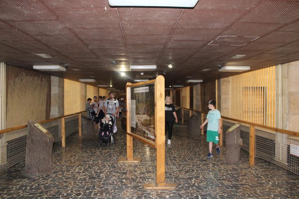 zoo w ostrawie - Vlog Steina