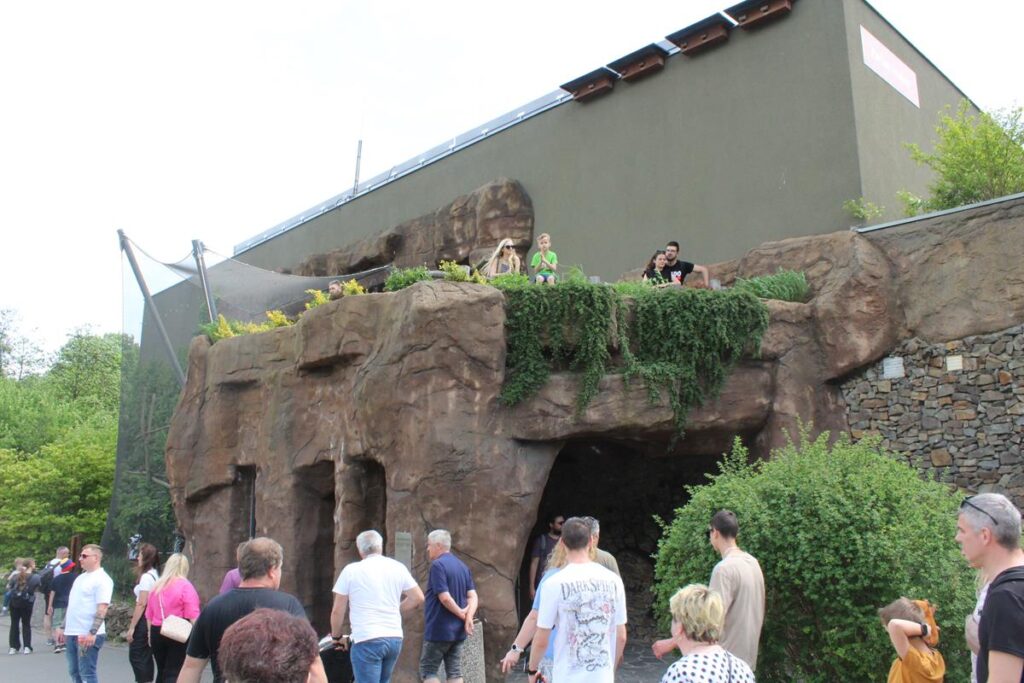 zoo w ostrawie - Vlog Steina