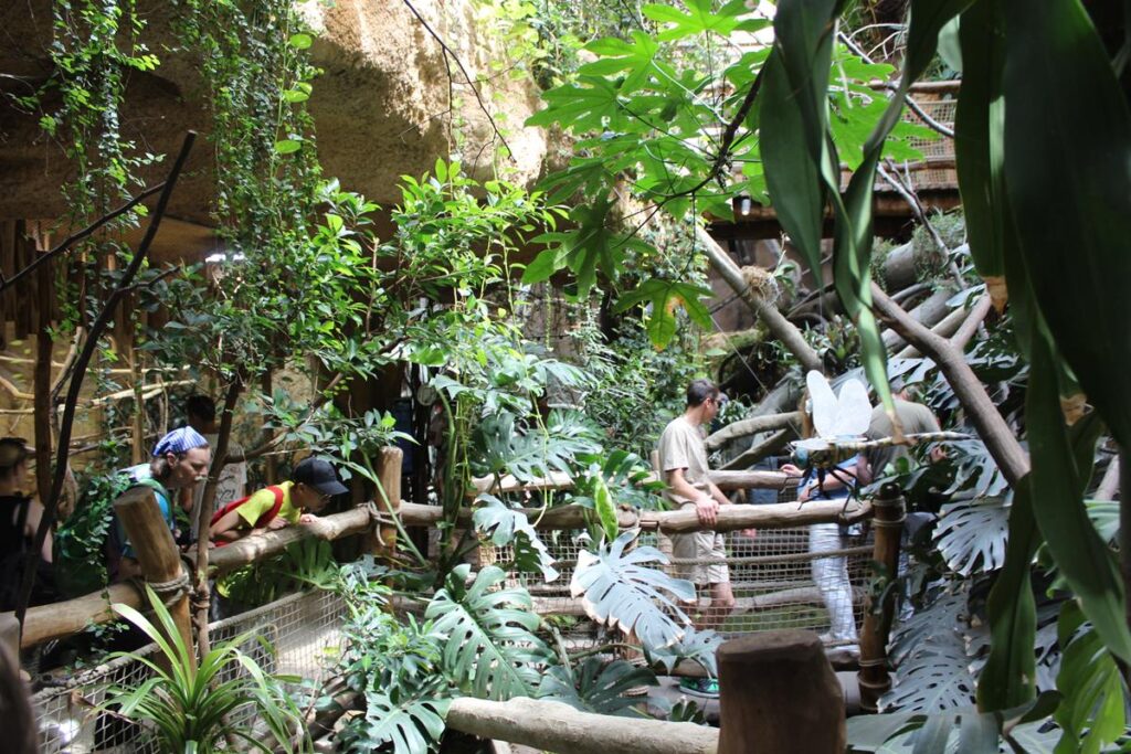 zoo w ostrawie - Vlog Steina