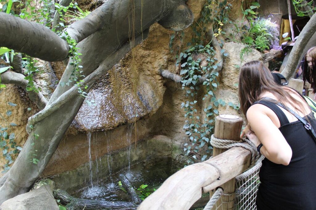 zoo w ostrawie - Vlog Steina