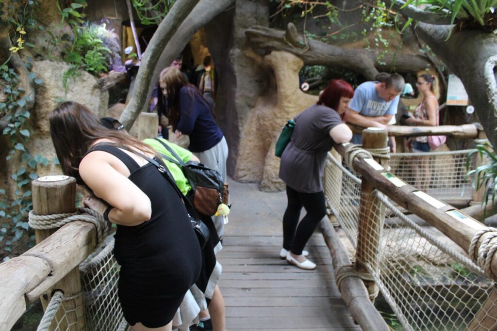 zoo w ostrawie - Vlog Steina